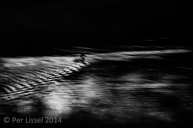 night_at_the_pond_bw_20140915