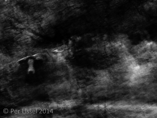 1the_cow_kloster_bw_20141007